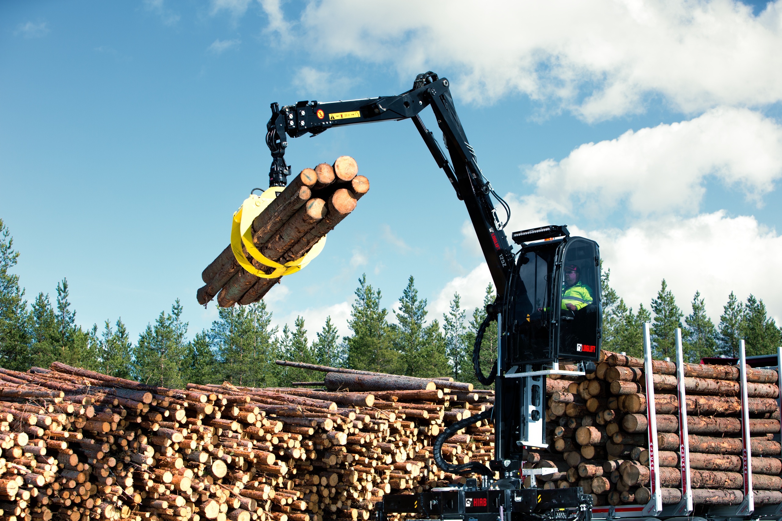 Log Loader Heal Rack Discover Our Cabins and Seating for Enhanced Performance | Material ...